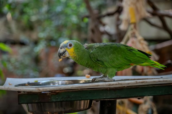 Tarifs et astuces pour un week-end au Zoo de Beauval