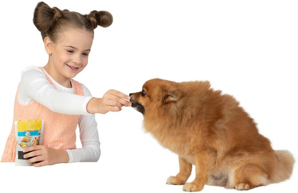 Découvrez la friandise naturelle pour chien – truffe délice