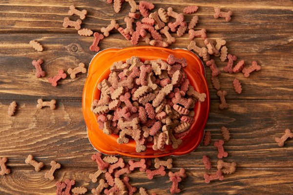 La vérité sur les marques de croquettes pour chien : bien choisir